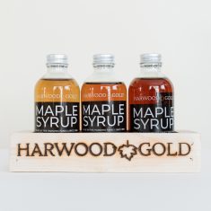 Maple Syrup Grades 4oz Trio